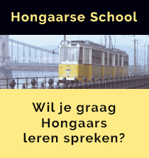 Hongaars leer je op de Hongaarse school in Haarlem